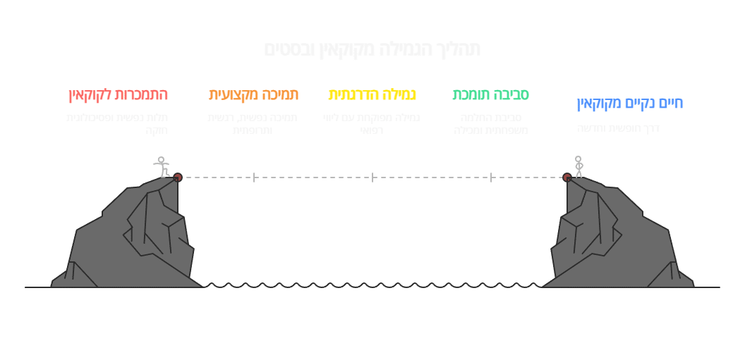 המחשה של השלבים שאותם לוקח אדם המכור לקוקאין ובסטים בדרך לגמילה