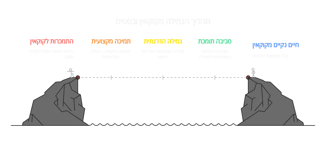 המחשה של השלבים שאותם לוקח אדם המכור לקוקאין ובסטים בדרך לגמילה